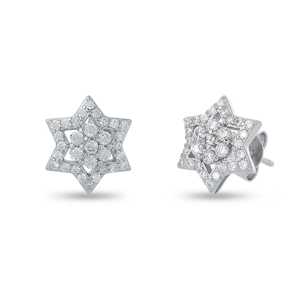 The Zircon Star Earrings